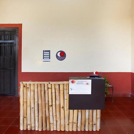 Capital O Hacienda Yunku Hotel, Yucatan Merida Ngoại thất bức ảnh